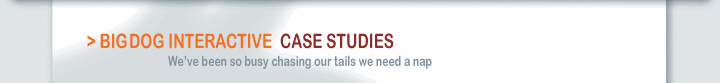 BigDog Interactive > Case Studies