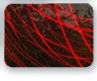 iPoi